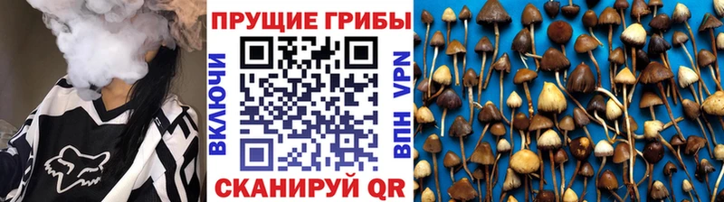 Псилоцибиновые грибы MAGIC MUSHROOMS  mega рабочий сайт  Сосновка 